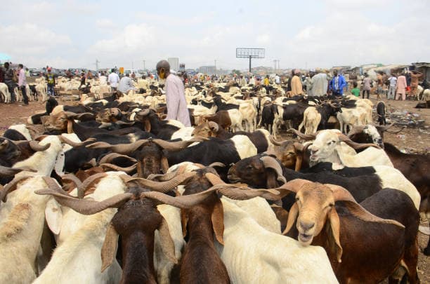 How Best to Celebrate Ileya Festival By Adedamola Adegoke