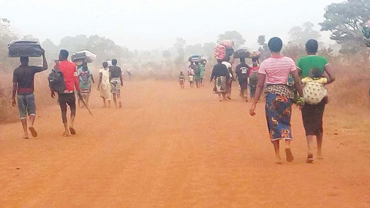 Benue Killings: NEF faults FG’s inaction, demands security intervention