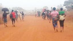 Benue Killings: NEF faults FG’s inaction, demands security intervention
