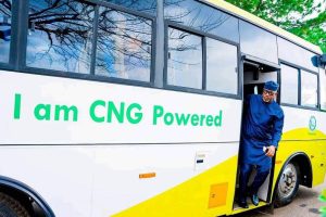 CNG buses 